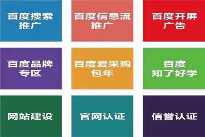 成功案例解析：SEM竞价托管运营策略