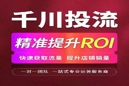 百度推广在电商领域的应用：成功提升销售额的秘诀